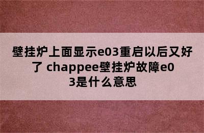 壁挂炉上面显示e03重启以后又好了 chappee壁挂炉故障e03是什么意思